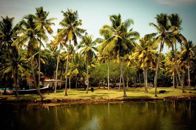 Kerala 4 Nights 5 Days