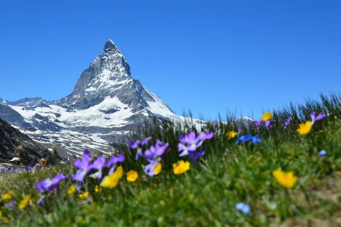VALLEY OF FLOWERS