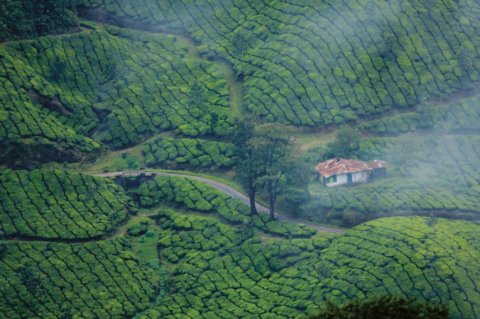 Munnar Short Tour Package
