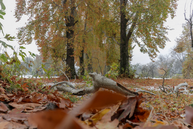 4 NIGHTS 5 DAYS FULL KASHMIR TOUR