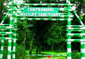 Chapramari Wildlife Sanctuary