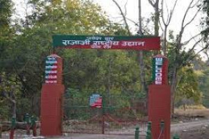 Chilla Wildlife Sanctuary