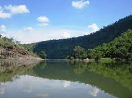 Doddamakkali Nature Camp