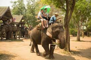 Elephant Ride