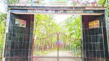 Hazaribagh National Park