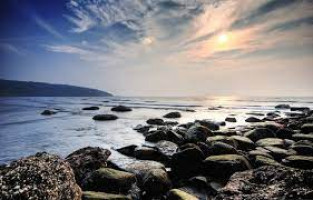 Hedvi Beach