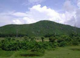 Kachugaon Game Reserve