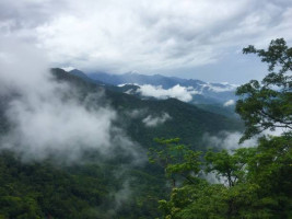 Kalpetta