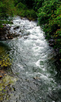 Nilambur