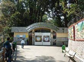 Padmaja Naidu Himalayan Zoological Park