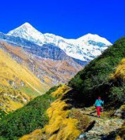 Pindari Glacier Trek