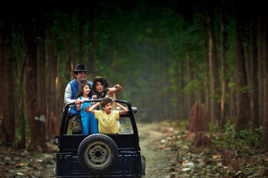 Sightseeing And Safaris In Dudhwa National Park