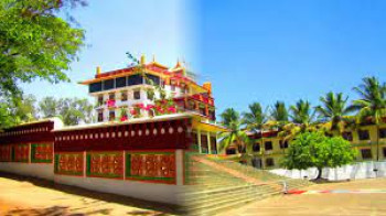 Tibetan Colony