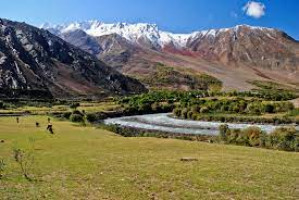 Trek To Suru Valley
