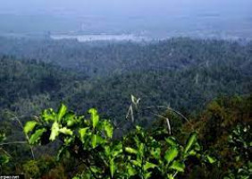 Yangoupokpi Lokchao Wildlife Sanctuary