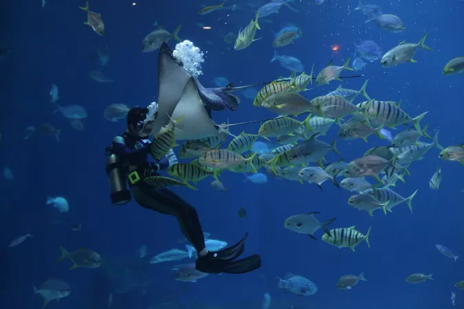 Antalya Aquarium