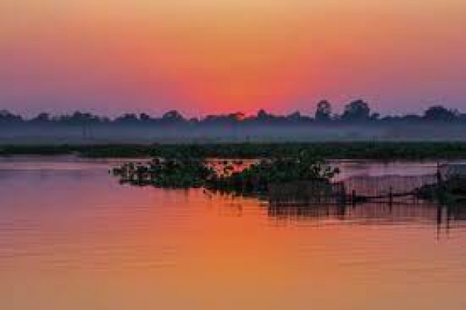 Maguri Matapung Beellake