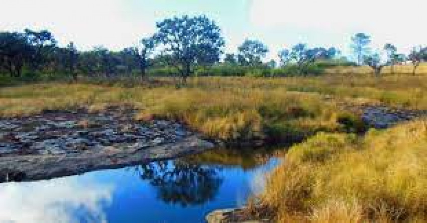 Murlen National Park