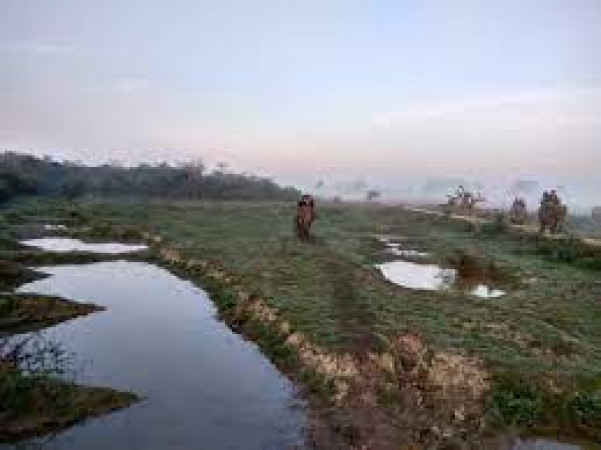 Nagaon