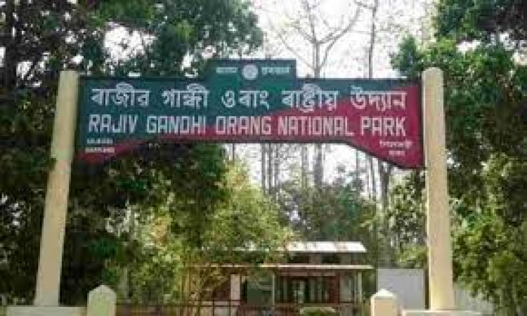 Orang National Park