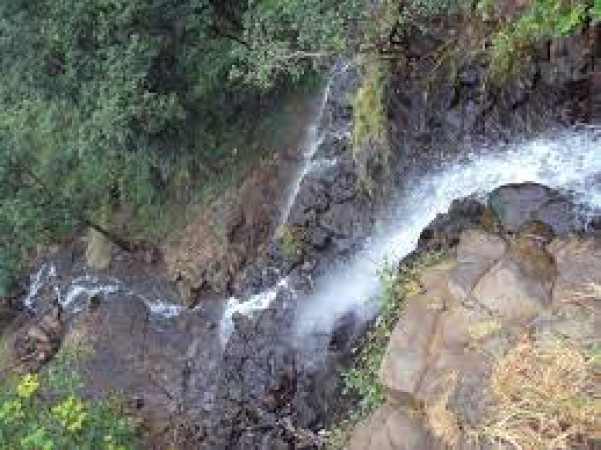 Sonemuda