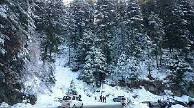 The Himalayan Nature Park Kufri