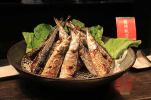 Lighthouse Residency