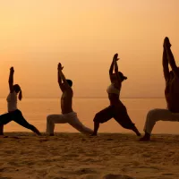 Top Wellness Resorts in India