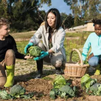 Top ten eco-friendly travel destinations in India