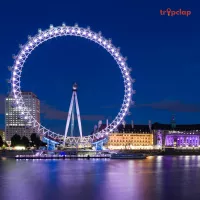 Discovering London on a Budget: Free Museums, Walking Tours, and More