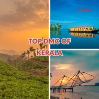 Top DMC of Kerala: Unveiling the Treasures of God's Own Country