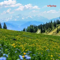 Enchanting Bugyals: The Alpine Meadows of Uttarakhand