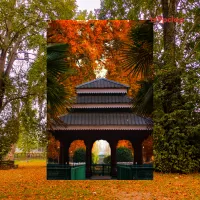 Explore Kashmir in Autumn with your family for a unique experience