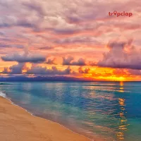 Mandvi Beach & Things to do there