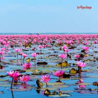 Manasbal Lake in Kashmir - the gem of the region