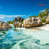 Top Destination Management Companies (DMCs) of Seychelles 