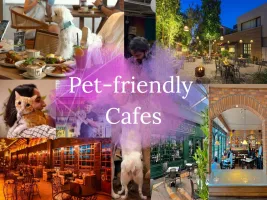 Top Pet-Friendly Cafes in Gurgaon