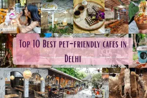 Top 10 best pet-friendly cafes in Delhi