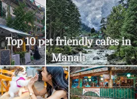 Top 10 pet friendly cafes in Manali 