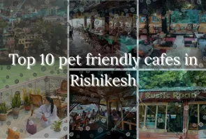 Top 10 pet friendly cafes in Rishikesh 