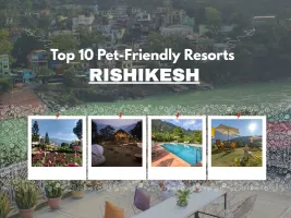 Top 10 Pet-Friendly Resorts in Rishikesh