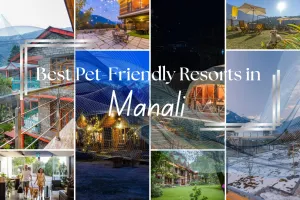 Best Pet-Friendly Resorts in Manali