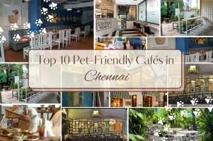Top 10 Pet-Friendly Cafés in Chennai ☕