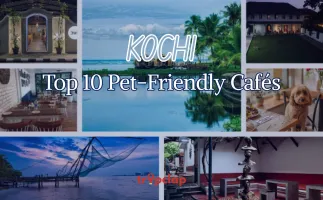 Top 10 Pet-Friendly Cafés in Kochi