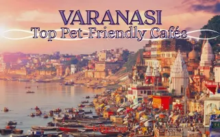  Top Pet-Friendly Cafés in Varanasi
