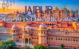 Top 10 Pet-friendly Cafes in Jaipur 