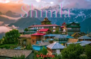  Top 10 Pet-Friendly Resorts, Camps & Hotels in Shimla