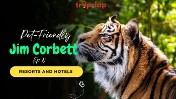 Top 10 Pet-Friendly Resorts in Jim Corbett