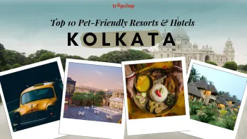 Top 10 Pet-Friendly Resorts and Hotels in Kolkata