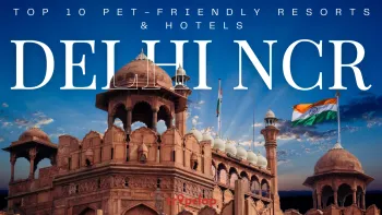 Top 10 Pet-Friendly Resorts and Hotels in Delhi NCR 